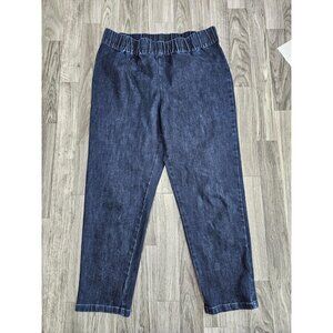 Soft Surroundings Pants Womens Large Pull On Jeggings Elastic Waist Style